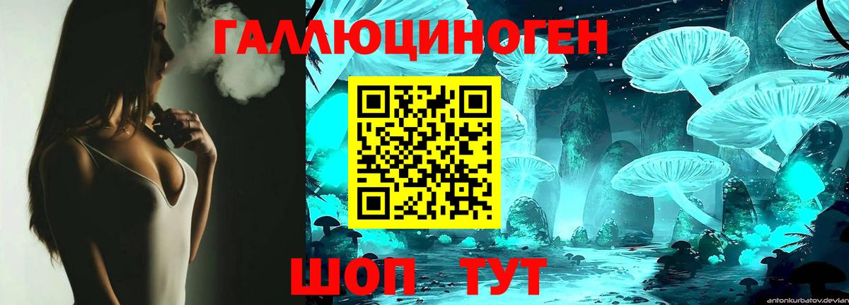 Псилоцибиновые грибы Cubensis Конаково